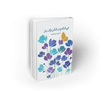 می شکنم در شکن زلف یار